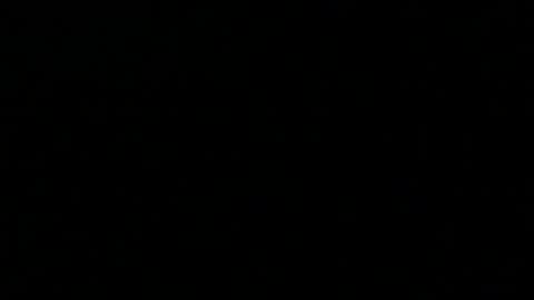 Peter online show from December 2024 10:37:01 PM