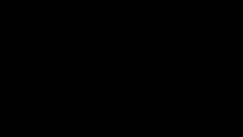 Peter online show from February 2025 08:00:01 PM