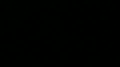 Peter online show from September 2025 09:16:02 PM