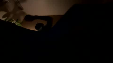 11rastamilkdudbbc online show from March 2026 03:22:02 AM