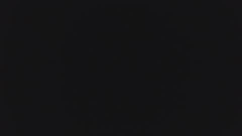 1900pley online show from March 2025 11:31:01 AM