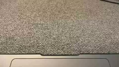 Snapshot of 1arkansasguy chatting on January 2025 02:52:02 PM 1arkansasguy online show from January 2025 02:52:02 PM