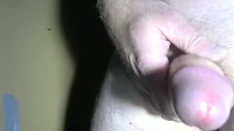 Snapshot of 1fourfishes chatting on October 2025 07:26:02 PM c2c Fun......Cum Watch n Play online show from October 2025 07:26:02 PM