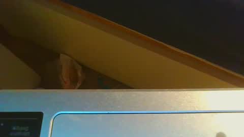 Snapshot of 1lovenaturals chatting on December 2024 08:58:02 PM Jason online show from December 2024 08:58:02 PM