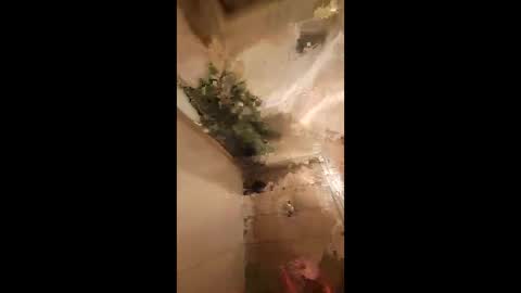 1naughtypapi online show from June 2026 12:22:02 PM