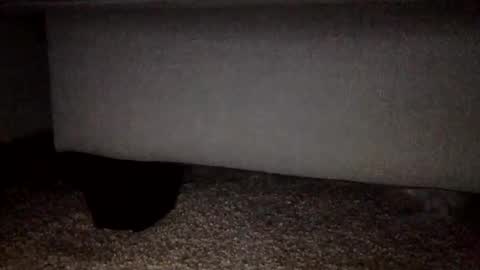 30nick online show from February 2026 03:16:02 AM