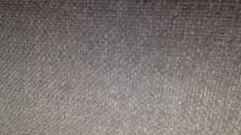 30nick online show from March 2026 06:16:02 AM