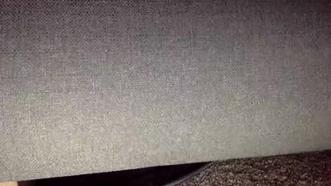 30nick online show from April 2026 05:02:02 AM