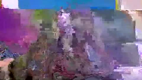 4nuf online show from January 2025 07:48:01 AM