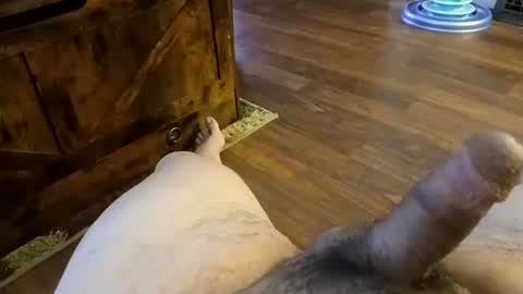 Snapshot of 5tone_bon3 chatting on January 2025 07:04:01 AM 5tone_bon3 online show from January 2025 07:04:01 AM