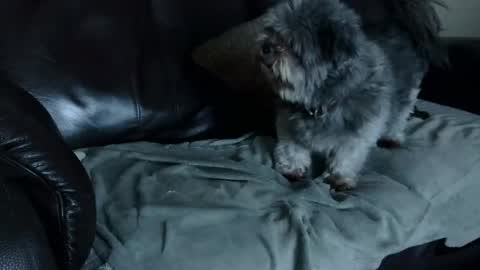 Snapshot of 66bear chatting on December 2024 11:00:02 AM 66bear online show from December 2024 11:00:02 AM