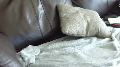 Snapshot of 66bear chatting on January 2025 06:57:02 PM 66bear online show from January 2025 06:57:02 PM