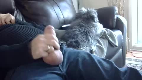 Snapshot of 66bear chatting on March 2025 10:05:02 PM 66bear online show from March 2025 10:05:02 PM