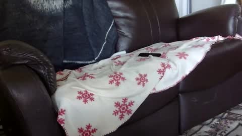 Snapshot of 66bear chatting on October 2025 05:33:02 PM 66bear online show from October 2025 05:33:02 PM