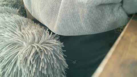 Snapshot of 6969jm chatting on December 2024 05:57:01 PM 6969jm online show from December 2024 05:57:01 PM