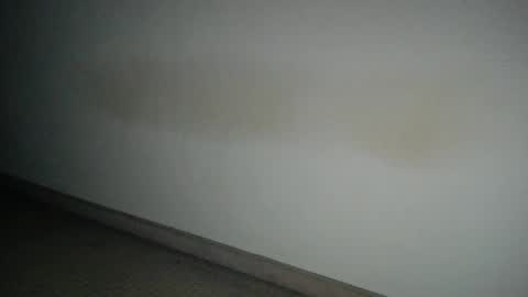 69___pas online show from December 2024 07:52:02 AM