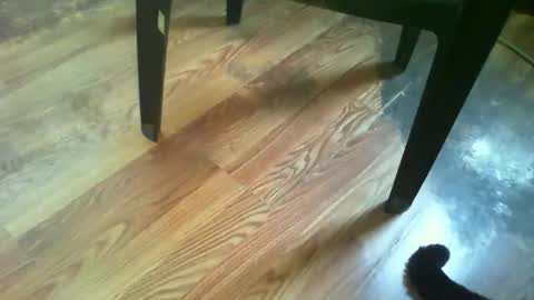 69forever453443 online show from November 2025 01:43:03 PM