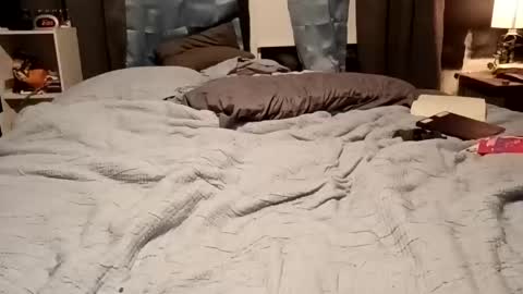 7lairddip online show from February 2026 07:51:01 AM