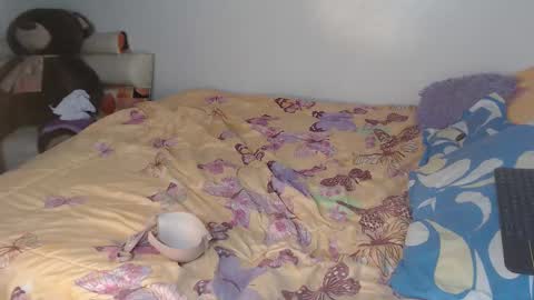 SunFlower online show from December 2025 12:38:02 AM