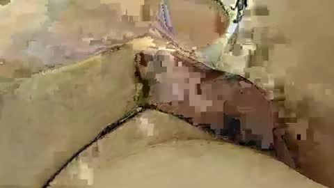 Snapshot of 8385 chatting on March 2025 12:15:01 AM 8385 online show from March 2025 12:15:01 AM