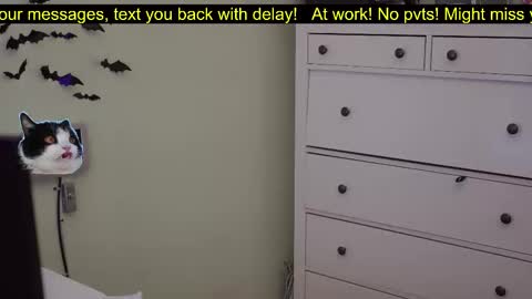 _3x7_ online show from October 2025 06:16:02 PM