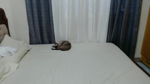 Amber online show from December 2024 09:26:01 PM