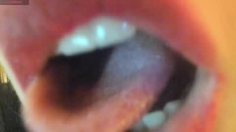 Snapshot of _antomouth_paradise chatting on September 2025 04:34:02 PM antonia online show from September 2025 04:34:02 PM