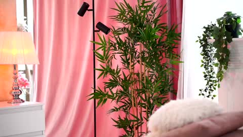 Arielle online show from February 2025 09:37:01 AM