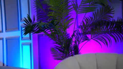 Snapshot of _arielle chatting on February 2026 07:59:02 AM Arielle online show from February 2026 07:59:02 AM