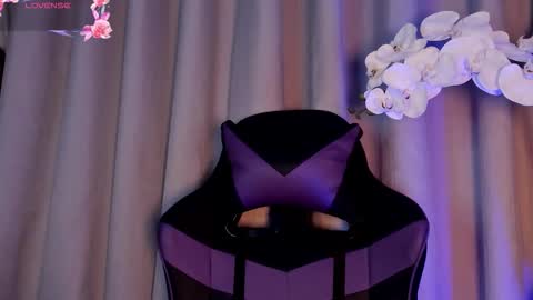   online show from December 2025 12:34:02 PM