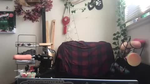 Snapshot of _bandit_b0y chatting on December 2024 03:31:02 PM bandit online show from December 2024 03:31:02 PM