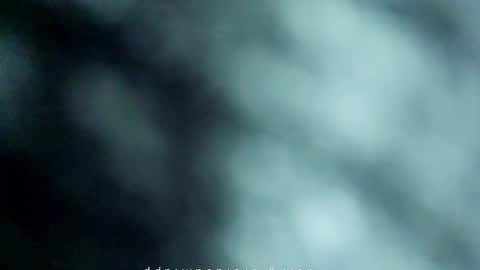 _black_horse_1 online show from May 2026 11:01:04 PM