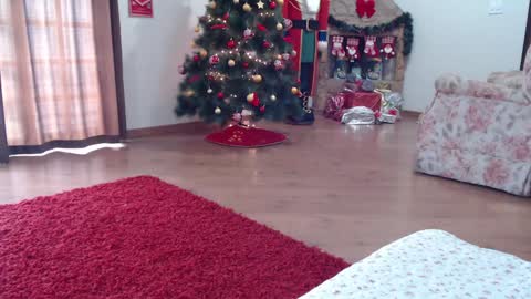 candygirl online show from January 2025 05:58:01 PM