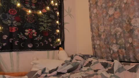 Caroline online show from December 2024 12:39:02 PM