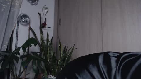 Jenn  online show from March 2026 11:37:01 PM