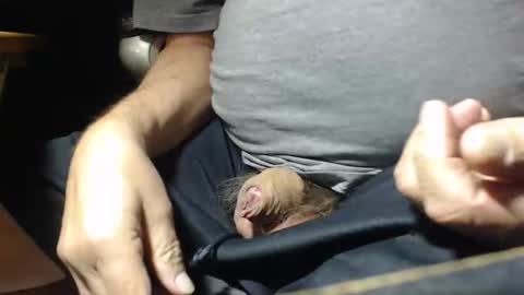 _jimmini online show from November 2025 05:04:02 PM