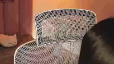 _kata online show from December 2025 11:28:02 AM