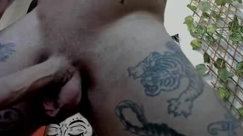 Layne online show from February 2025 02:06:02 PM