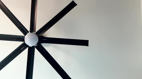 Snapshot of _littlewolfie_ chatting on January 2025 10:07:02 PM Little Wolfie online show from January 2025 10:07:02 PM