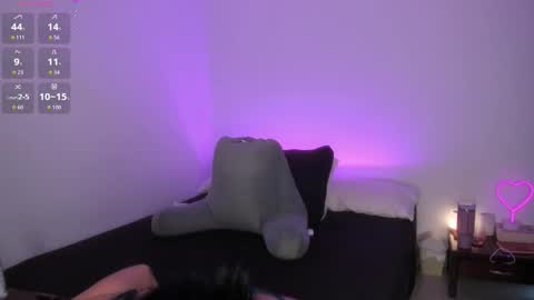   online show from November 2025 12:16:01 PM