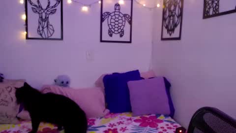 Marce  online show from January 2025 12:57:01 AM