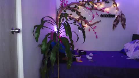 Snapshot of _marcela_wi chatting on July 2026 01:56:01 AM Marce online show from July 2026 01:56:01 AM