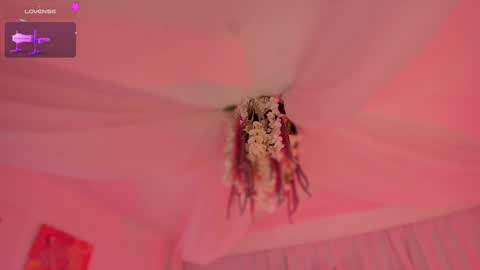       Telegram Channel channelofmers Subscribe schedule 600 am 1200 am Colombia time online show from December 2024 02:28:01 PM