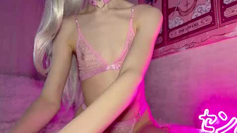 Nora online show from November 2025 08:42:01 AM