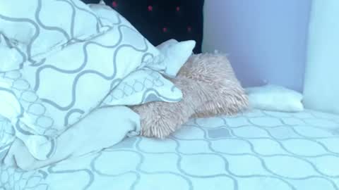 Alexa online show from February 2025 07:19:02 PM