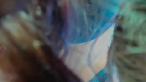 Snapshot of _silvia_vega_ chatting on February 2026 03:07:02 AM _silvia_vega_ online show from February 2026 03:07:02 AM