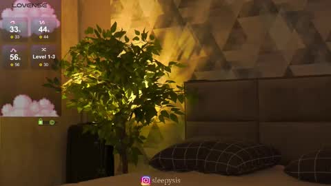 Ann online show from January 2026 02:44:01 PM