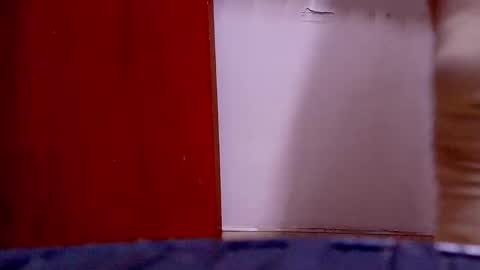 susy online show from September 2025 11:56:01 AM