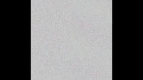    online show from February 2026 12:09:02 AM