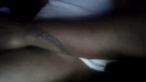 A2Please online show from December 2024 11:54:02 AM